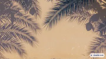 Sombras de palmera (16:9)