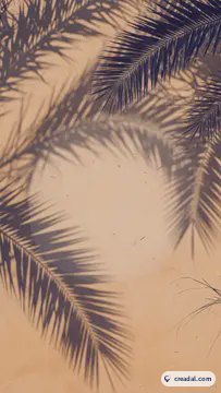 Sombras de palmera (9:16)