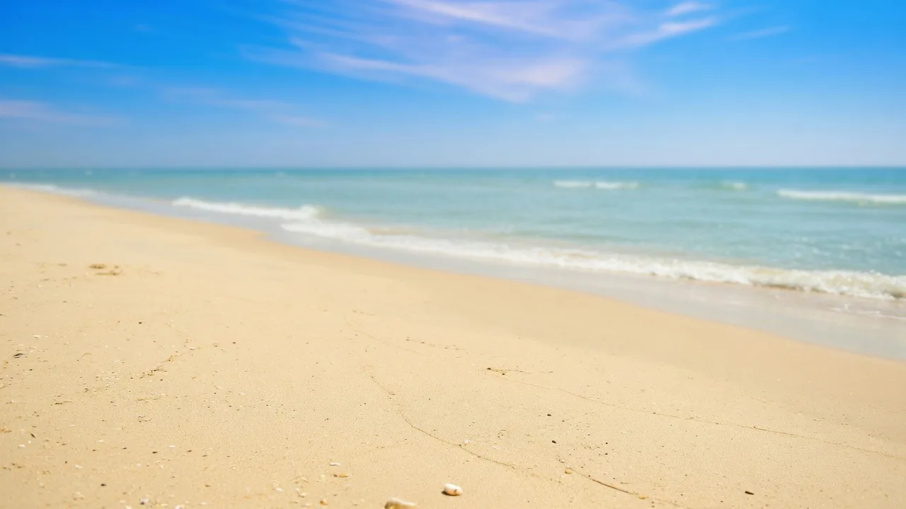 Summer Beach Backdrop (16:9)
