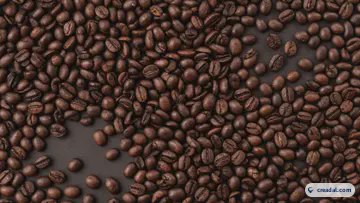 Granos de Café Tostado (16:9)