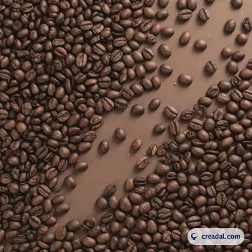 Granos de Café Tostado (1:1)