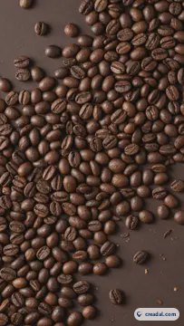 Granos de Café Tostado (9:16)
