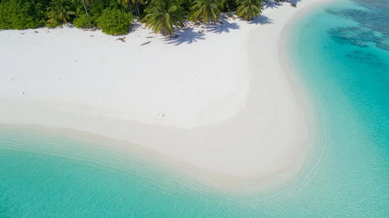 Tropical beach aerial (16:9)