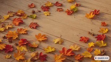 Autumn maple leaves (16:9)