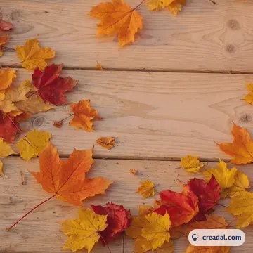 Autumn maple leaves (1:1)