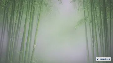 霧に煙る緑竹 (16:9)