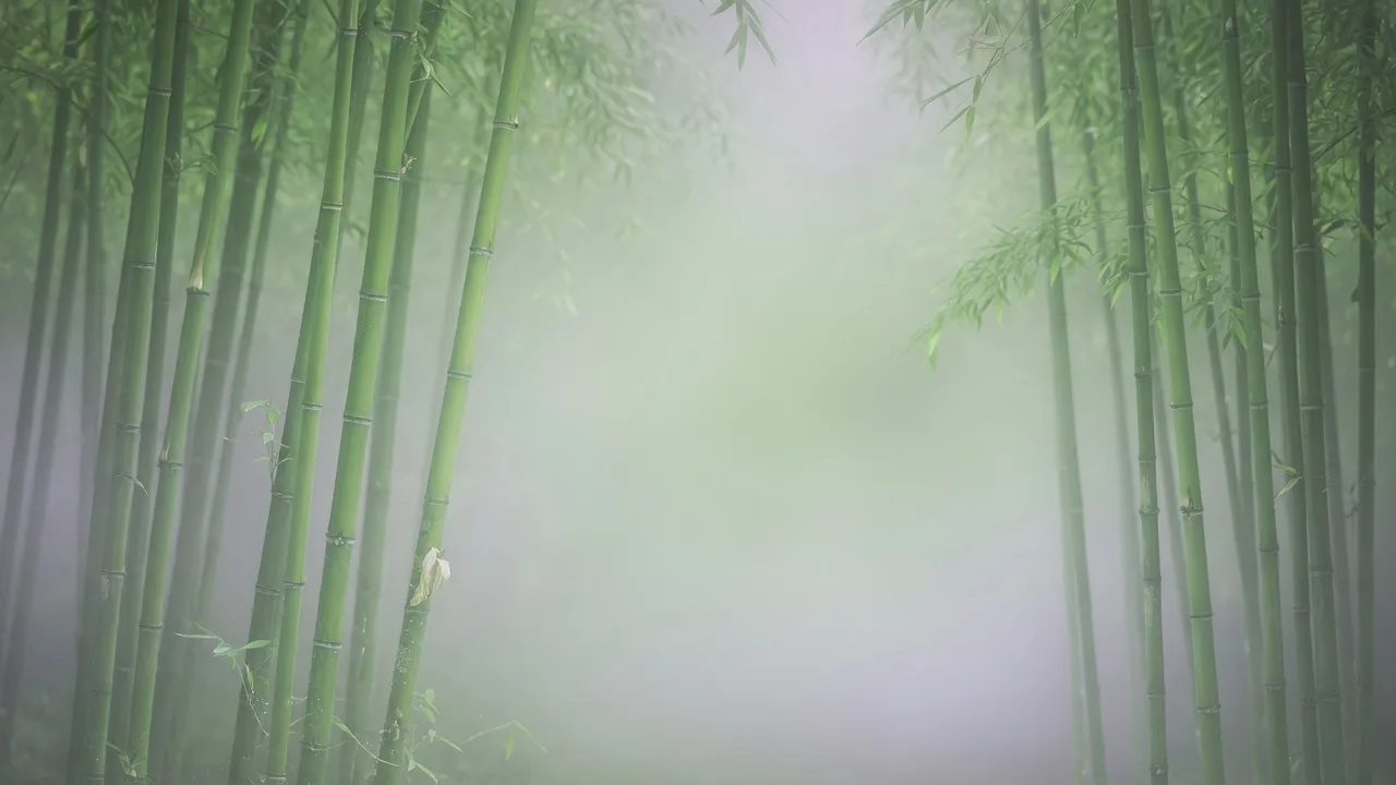 Misty Green Bamboo (16:9)