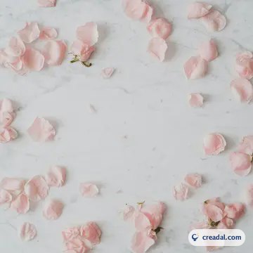 淡いピンクの花びら (1:1)