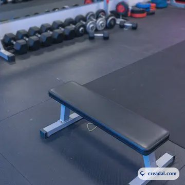 مشهد مقعد الجيم (1:1)