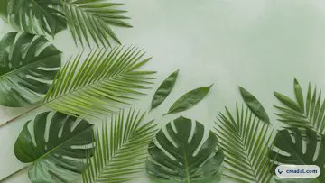 新鮮な熱帯の葉 (16:9)