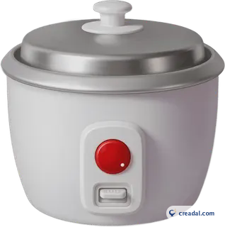 White rice cooker