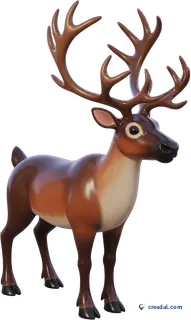 Reindeer with Antlers