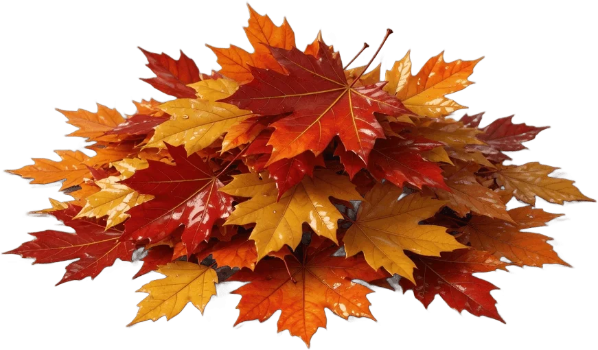 Autumn Leaf Pile