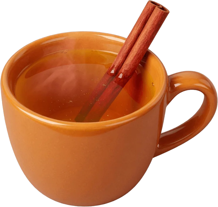 Hot Apple Cider
