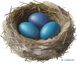 Nest with Blue Eggs