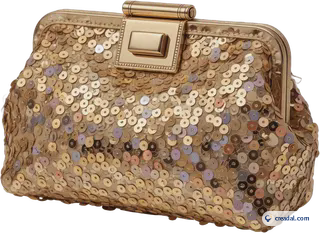 Pochette Dorée à Paillettes