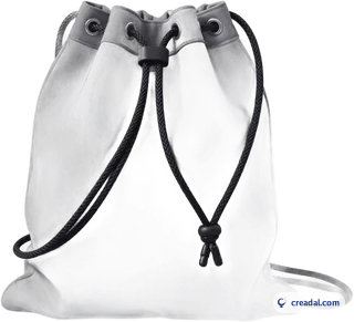 Sac de sport gris