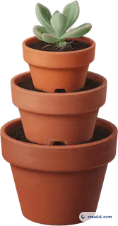 Vasos de terracota