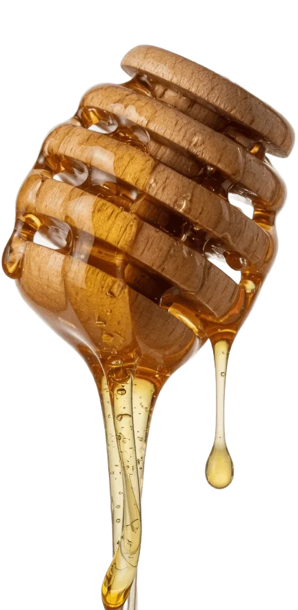 Cuillère à miel