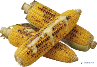 Grilled Corn with Butter