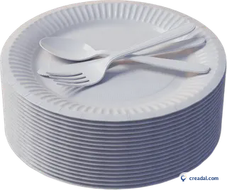 Paper Plates and Cutlery