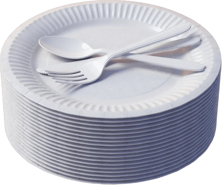 Paper Plates and Cutlery
