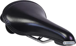 Black leather bike saddle