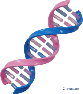 Glossy DNA Helix