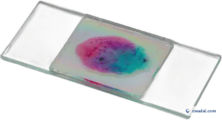 Microscope Slide Sample