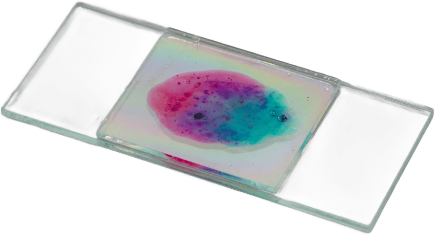 Microscope Slide Sample