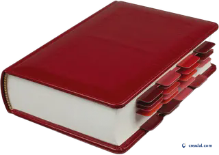 Thick red dictionary