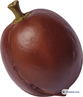 Fruit de guarana