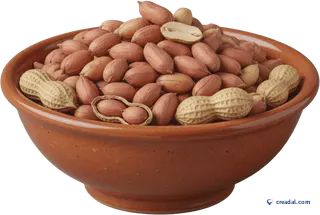 मूंगफली का कटोरा
