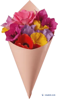 Petal Confetti Cone