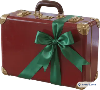 Vintage Honeymoon Suitcase