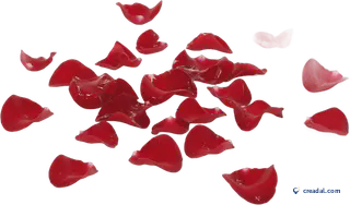 Red Rose Petals