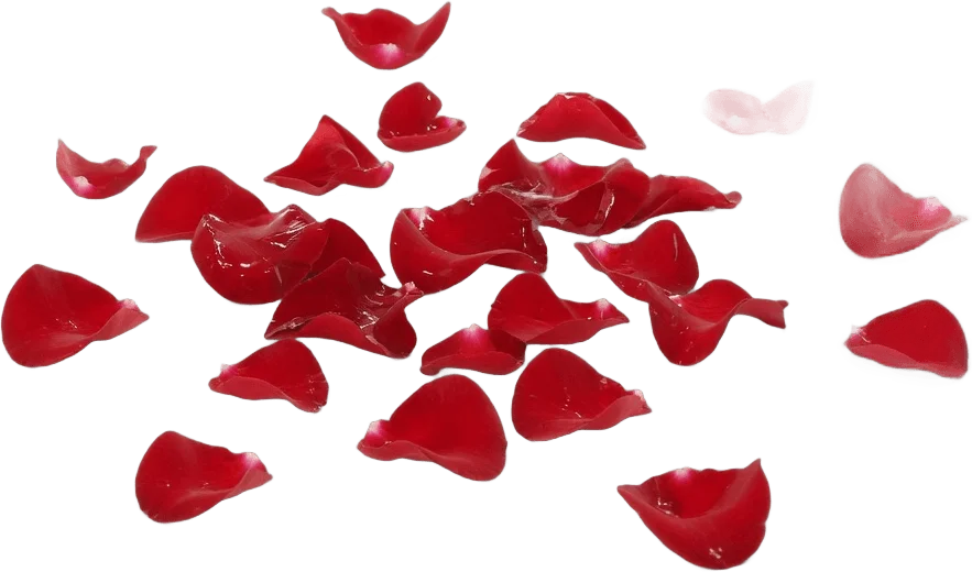 Red Rose Petals
