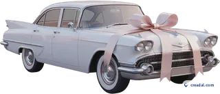 Vintage wedding car ribbon