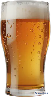 Pint of beer
