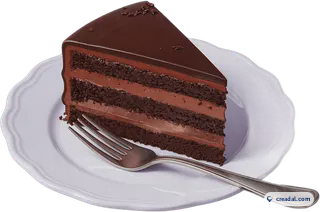Chocolate Cake Slice