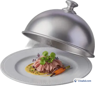 Silver Food Cloche