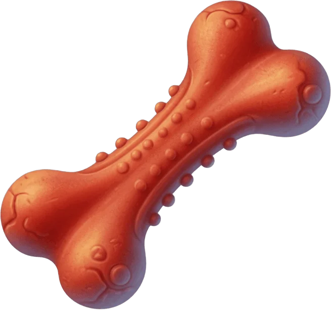 Rubber Bone Chew Toy