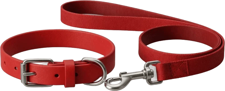 Red leash and collar