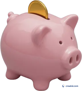 Pink Piggy Bank