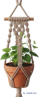 Macrame Plant Hanger