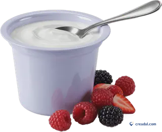 White Yogurt Cup