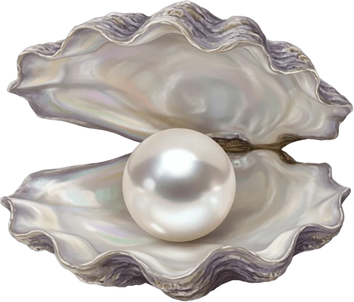 Open Oyster Pearl