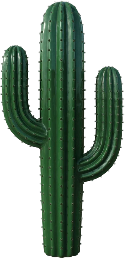 Grand cactus saguaro