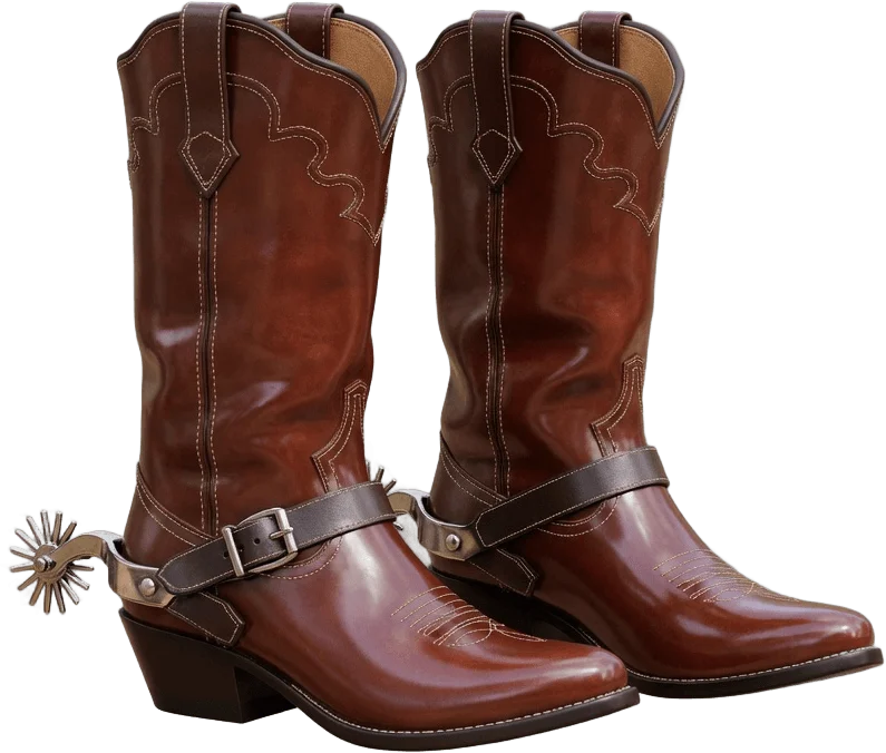 Botas de caubói de couro