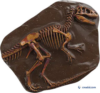 Dinosaurier-Skelettfossil
